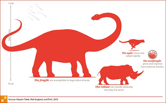 Ilustração comparativa dos conceitos de frágil, robusto, ágil e antifrágil, representados por animais: dinossauro (frágil), rinoceronte (robusto), gato (ágil) e símbolo de crescimento (antifrágil), com base na teoria de Nassim Taleb.
